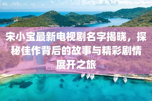 宋小宝最新电视剧名字揭晓，探秘佳作背后的故事与精彩剧情展开之旅