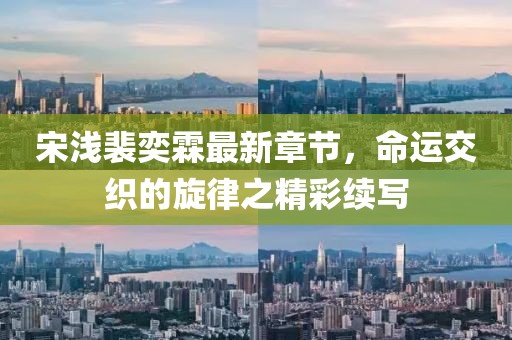 宋浅裴奕霖最新章节，命运交织的旋律之精彩续写