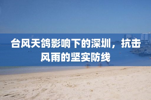 台风天鸽影响下的深圳，抗击风雨的坚实防线