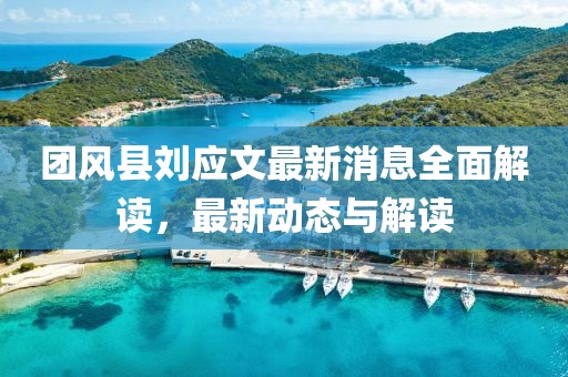 团风县刘应文最新消息全面解读，最新动态与解读