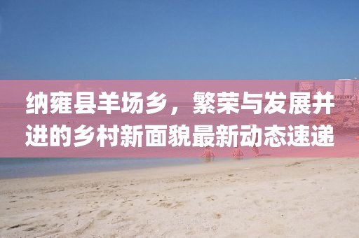 纳雍县羊场乡，繁荣与发展并进的乡村新面貌最新动态速递