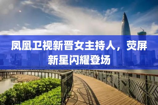 凤凰卫视新晋女主持人，荧屏新星闪耀登场