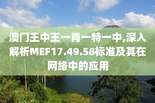 澳门王中王一肖一特一中,深入解析MEF17.49.58标准及其在网络中的应用