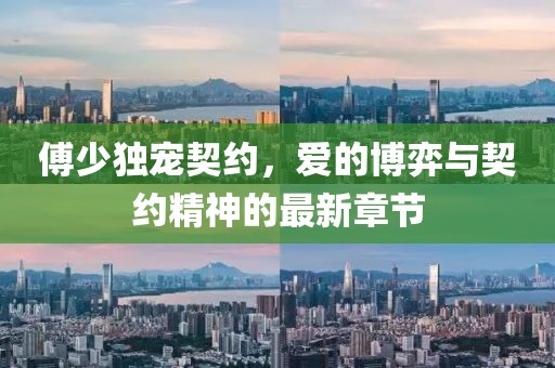 傅少独宠契约，爱的博弈与契约精神的最新章节
