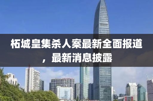 柘城皇集杀人案最新全面报道，最新消息披露