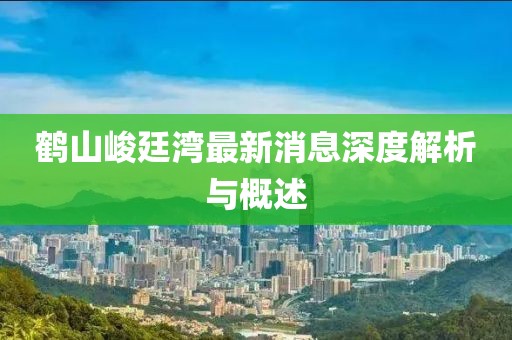 第519页