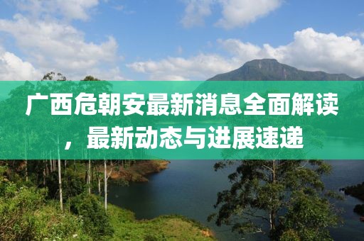 广西危朝安最新消息全面解读，最新动态与进展速递