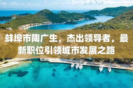 蚌埠市陶广生，杰出领导者，最新职位引领城市发展之路