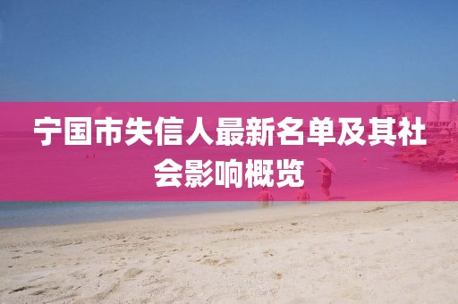 宁国市失信人最新名单及其社会影响概览