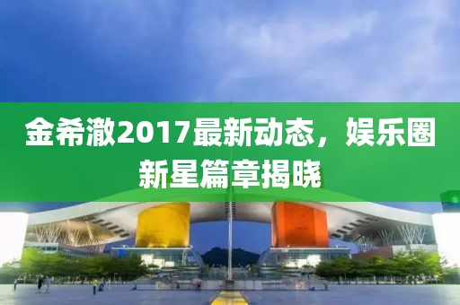 金希澈2017最新动态，娱乐圈新星篇章揭晓