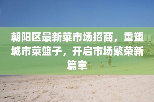 朝阳区最新菜市场招商，重塑城市菜篮子，开启市场繁荣新篇章