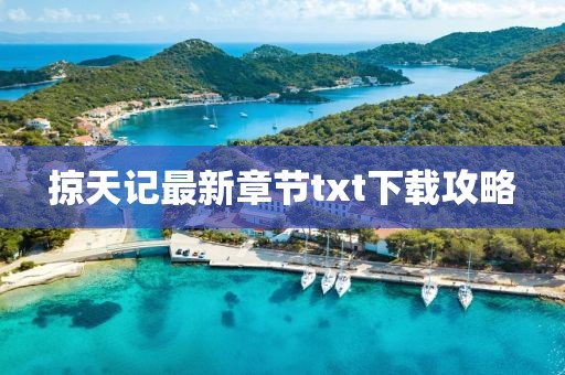 掠天记最新章节txt下载攻略