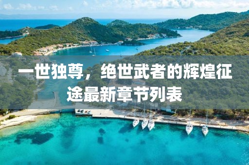 一世独尊，绝世武者的辉煌征途最新章节列表