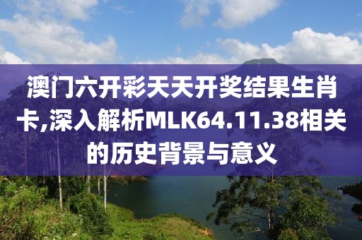 澳门六开彩天天开奖结果生肖卡,深入解析MLK64.11.38相关的历史背景与意义