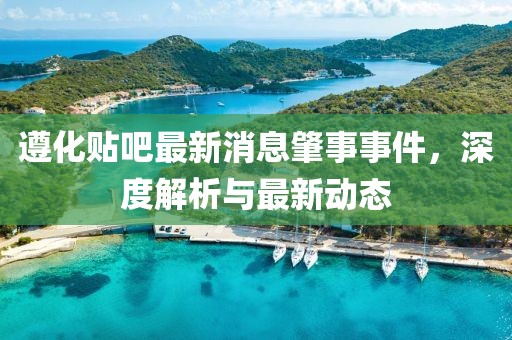 遵化贴吧最新消息肇事事件，深度解析与最新动态