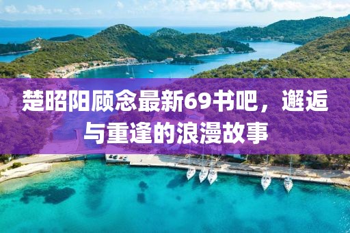 楚昭阳顾念最新69书吧，邂逅与重逢的浪漫故事