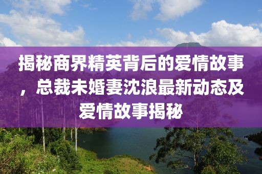 揭秘商界精英背后的爱情故事，总裁未婚妻沈浪最新动态及爱情故事揭秘