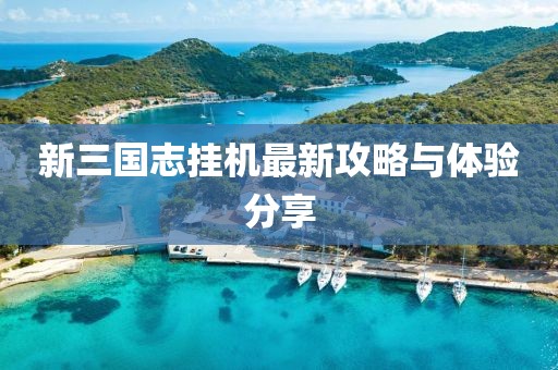 新三国志挂机最新攻略与体验分享