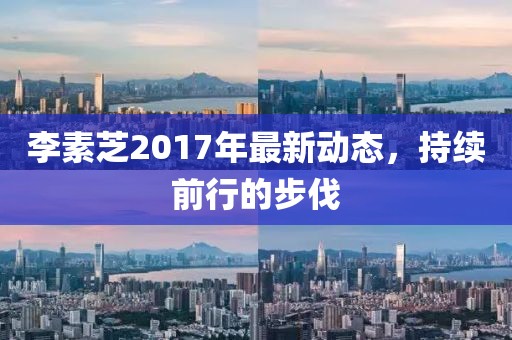 李素芝2017年最新动态，持续前行的步伐