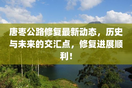 唐枣公路修复最新动态，历史与未来的交汇点，修复进展顺利！