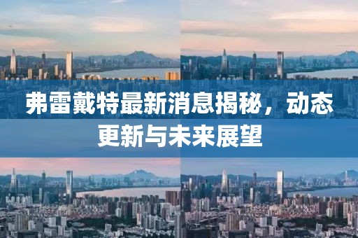 弗雷戴特最新消息揭秘，动态更新与未来展望