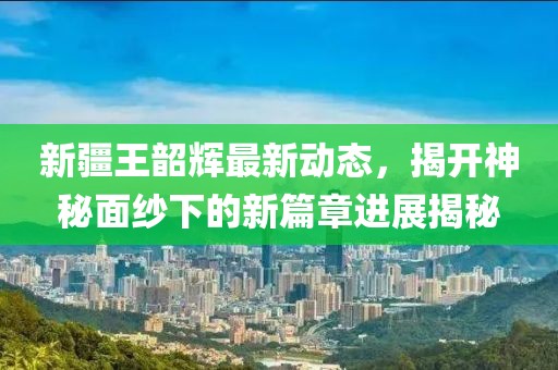 新疆王韶辉最新动态，揭开神秘面纱下的新篇章进展揭秘