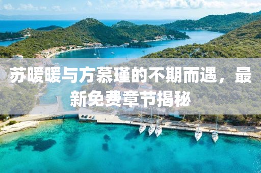 苏暖暖与方慕瑾的不期而遇，最新免费章节揭秘