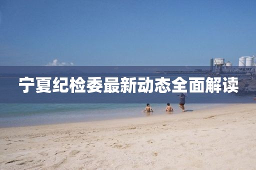 宁夏纪检委最新动态全面解读