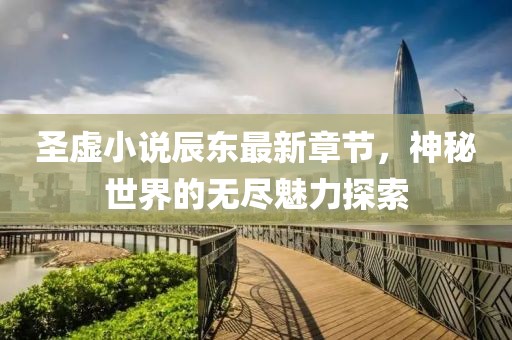 圣虚小说辰东最新章节，神秘世界的无尽魅力探索