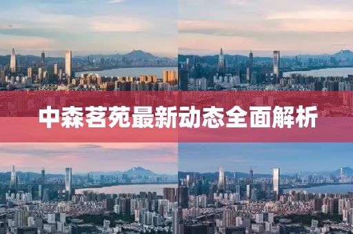 中森茗苑最新动态全面解析