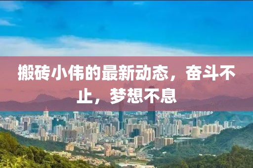 搬砖小伟的最新动态，奋斗不止，梦想不息