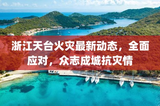浙江天台火灾最新动态，全面应对，众志成城抗灾情