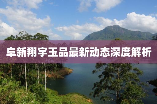 阜新翔宇玉品最新动态深度解析
