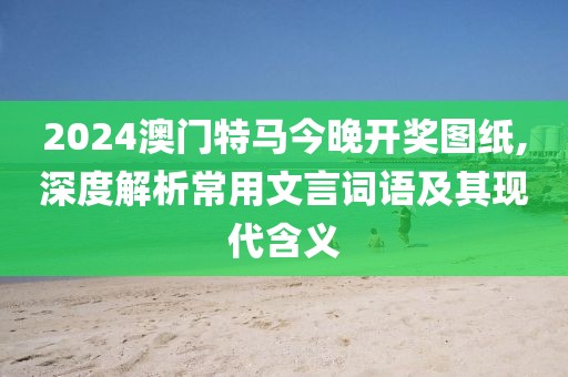 2024澳门特马今晚开奖图纸,深度解析常用文言词语及其现代含义