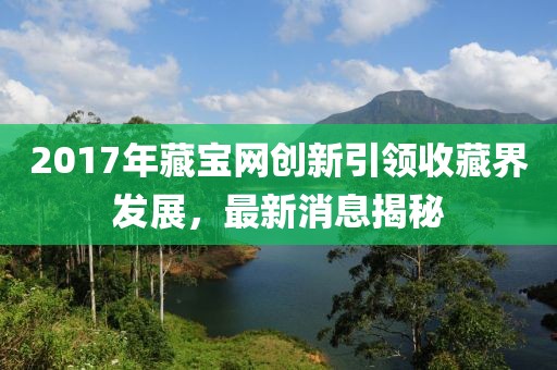 2017年藏宝网创新引领收藏界发展，最新消息揭秘