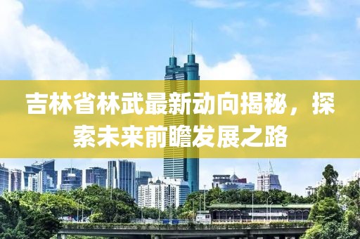吉林省林武最新动向揭秘，探索未来前瞻发展之路