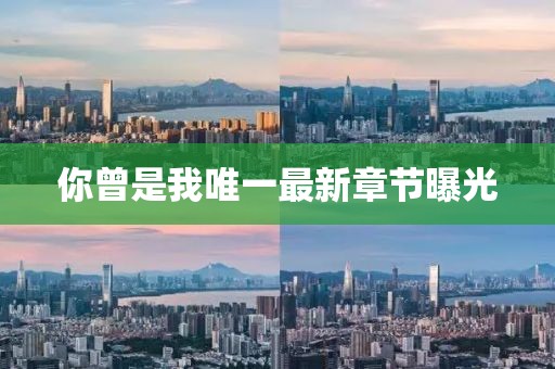你曾是我唯一最新章节曝光
