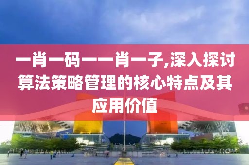 一肖一码一一肖一子,深入探讨算法策略管理的核心特点及其应用价值