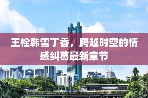 王栓韩雪丁香，跨越时空的情感纠葛最新章节