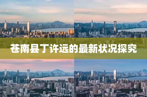 苍南县丁许远的最新状况探究