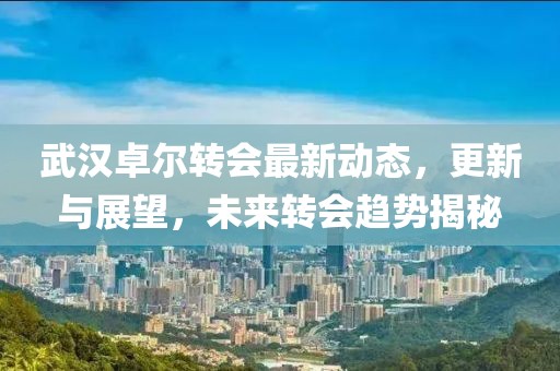 武汉卓尔转会最新动态，更新与展望，未来转会趋势揭秘