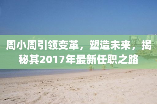 周小周引领变革，塑造未来，揭秘其2017年最新任职之路
