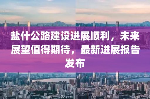 盐什公路建设进展顺利，未来展望值得期待，最新进展报告发布