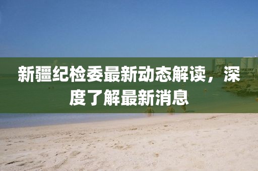 新疆纪检委最新动态解读，深度了解最新消息