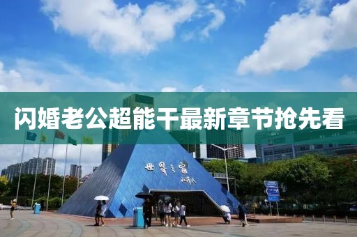 闪婚老公超能干最新章节抢先看