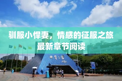 驯服小悍妻，情感的征服之旅最新章节阅读