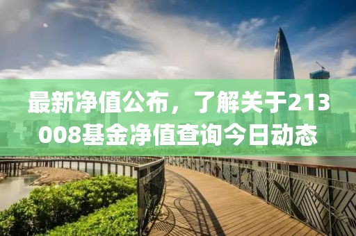 最新净值公布，了解关于213008基金净值查询今日动态