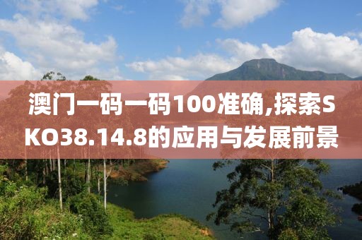 澳门一码一码100准确,探索SKO38.14.8的应用与发展前景