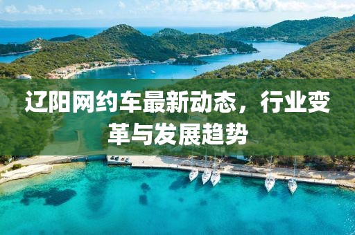 辽阳网约车最新动态，行业变革与发展趋势