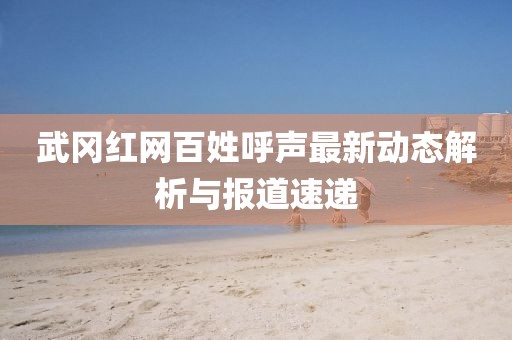 武冈红网百姓呼声最新动态解析与报道速递